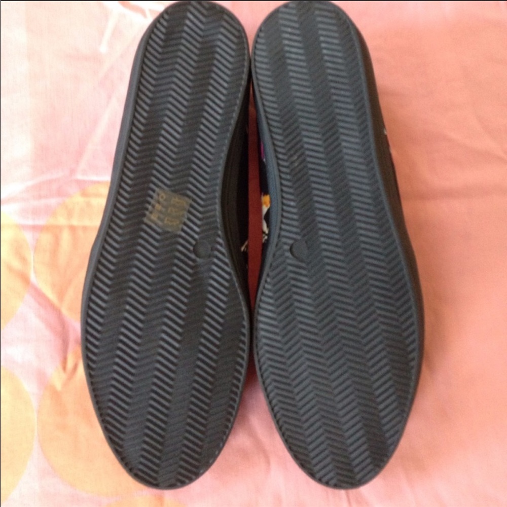 Shellys bird flats - Picture 3 of 4